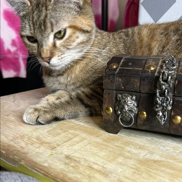 Vintage Wooden Trinket Box with Silver Accents - Picture 5 of 5